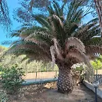 Itaca Villa *